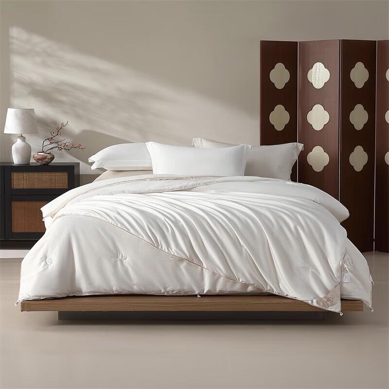 

Mercury Home Tussah Silk 2-in-1 All-Season Duvet