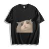 Realistic Cute Cat Face Graphic T-Shirt