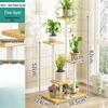 Multi-Layer Square Wood Indoor Flower Stand