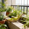 Practical Frogs Sculpture Functioning As Ornament and Garden Decoration for Stylish Home and Garden Enhancement