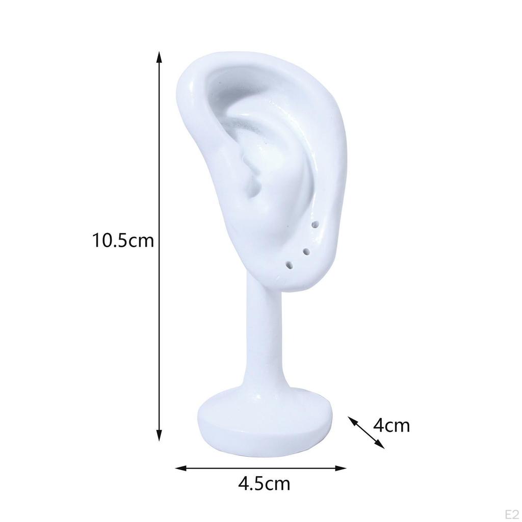 Support de Présentation Boucles d'Oreilles Forme d'Oreille en Résine Hauteur 10,5 cm Organisateur Léger pour Fille Femmes