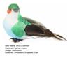 Exquisite Animal Model Cute Bird Ornament Christmas Colorful Craft Party Decoration for Indoor Outdoor