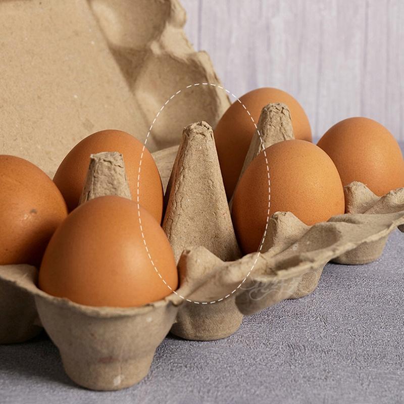 10 Stück Native Eierverpackungsbox Eierablage Zellstoff Eierablage Eierbehälter Erde Eierverpackungsbox Für Familienbauernhof Markt Camping