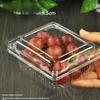 Disposable Fruit Packaging Container