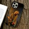 Singer Kurt Cobain Phone Case For iPhone 17,16,15,14,13,12,11 Plus,Pro Max,XS,Colorful Silver Phone Case Funda Cover