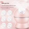 Jindao Nano Cold & Hot Facial Steamer