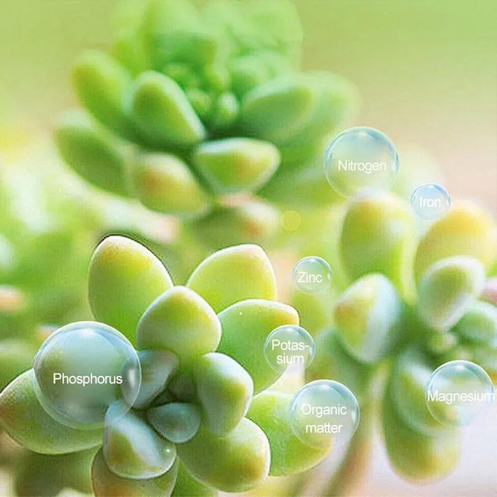 300ml Plant Liquid Fertilizer Efficient Universal Germination Nutrient Solution Succulent Plant Nutrition Mist Spray Garden Tool