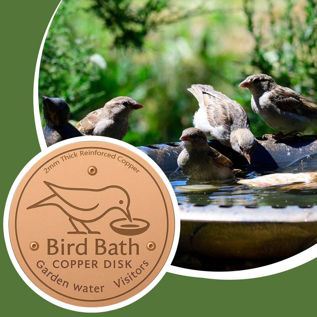 Bird Bath Disk Copper Cleaning Disk Feeder Accessories Triple-Point Support Purification Disc For Outdoor Cleaning Water Bowl