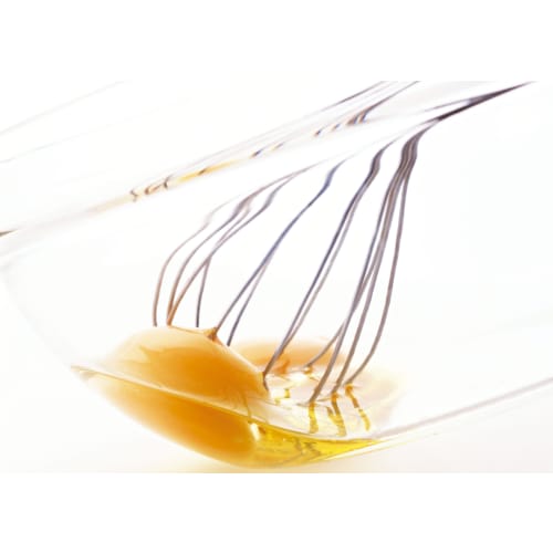 Endo Shoji TKG Antibacterial Color Handle Whisk, 30cm, Yellow, Made in Japan with SUS304, Nylon, and Polypropylene, BAW3208