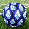 FC Dynamo Moscow Indoor Soccer Ball Size 5 Colorful All Ages Machine Stitched PVC Competition Ready Durable High-Bounce