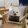 Seal Sea Personalized Pillow Cover Kids Bedroom Wild Party Decor Pillowcase Kid Birthday Shower Gift