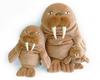 Morisaka Global Mochi Walrus M 12 x 15 x 20cm Walrus Plush Toy, Soothing, Soft and Squishy Texture, Cute Animal, Mochi Series, Animal MOSE-0230