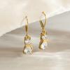 Light luxury high-end zircon cat earrings earrings