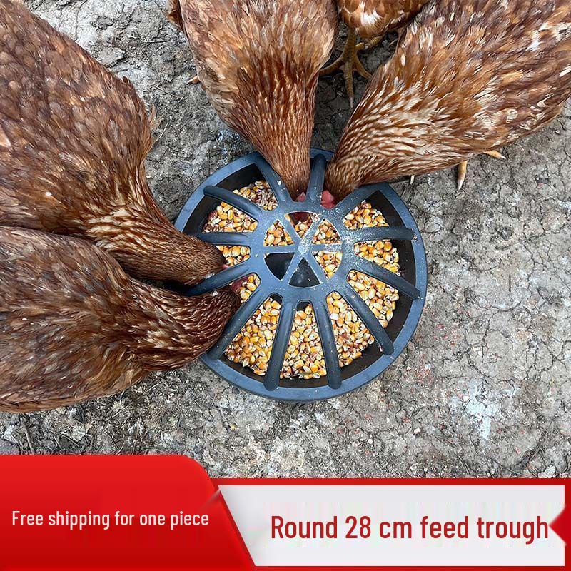 

Automatic Poultry Feeder & Waterer for Chickens, Ducks, and Geese