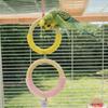 With Bell Bird Swing Toy Colored Ring Braided Chew Toy Hanging Parrot Ring Toy  Bird Cage Use