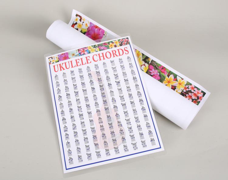 Tabella Accordi per Ukulele e Chitarra: Diagramma di Pratica Classica ed Elettrica