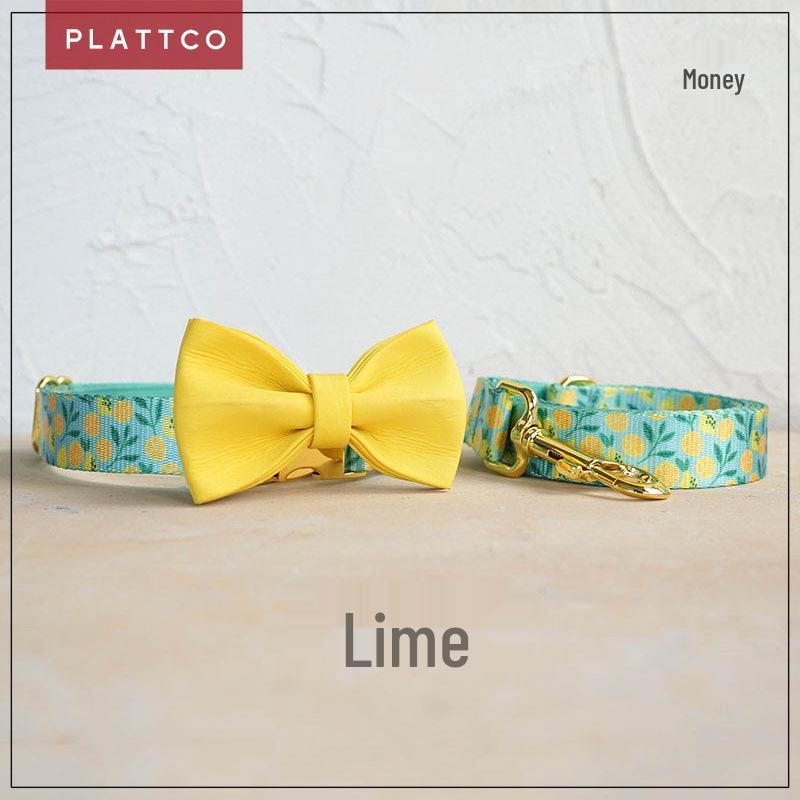 PLATTCO Soft & Comfy Pet Dog Collar Set with Golden Buckle - PDC329 (3 Pieces) XS