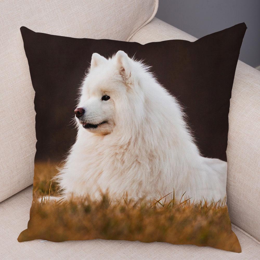 50 Stil Husă de Pernă Câine Alb Drăguț Samoyed Decor Husă de Pernă Animal de Companie Iubitor Husă de Pernă Moale de Pluș pentru Canapé Cameră Copii