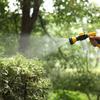 Pistola de Pulverización de Agua Agrícola de Alta Calidad y Alta Presión para Riego de Jardines