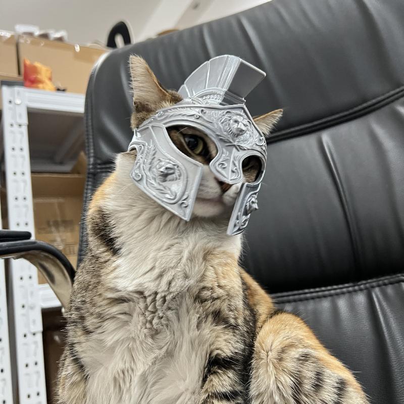 Casco da Gatto Stampato in 3D Stile Centurione Romano Costume per Animali Domestici Leggero Copricapo Unico per Gioco di Ruolo Animali Domestici Sessione Fotografica