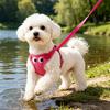 Yousheng Padded Step-in Dog Harness Breathable Adjustable Pet Harness Cute Big Eyes Harness with Leash for Small Dogs