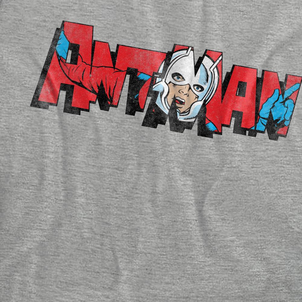 Ant-Man and the Wasp: Quantumania Womens/Ladies Retro Frame Logo Heather T-Shirt