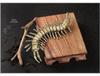 Antique Replica Chinese Centipede Brass Sculpture: Solid Copper Hundred-Legged Worm Tea Pet Handicraft