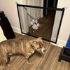 Extra Long  Mesh Dog Cat Gate | Tall Free Standing Pet Barrier with Door for Indoor & Outdoor Use