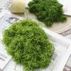 Artificial Bionic Moss for DIY Micro Landscape Bonsai and Lawn Ornaments