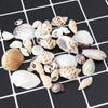 1 Pack Fish Tank Supplies Mix Style Natural Shell Conch Aquarium Landscape Tiny Sea Shell Beach Decoration Party Diy Crafts