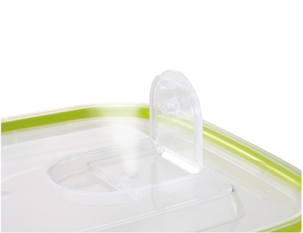 Iwasaki Kogyo Storage Container Smart Flap Rocks Square Large Set of 2 Green 900ml &