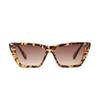 Glasses 2255 Cat Eyes Multi-Colored Plastic Frame Sunglasses Women, Colored Sunglasses Men