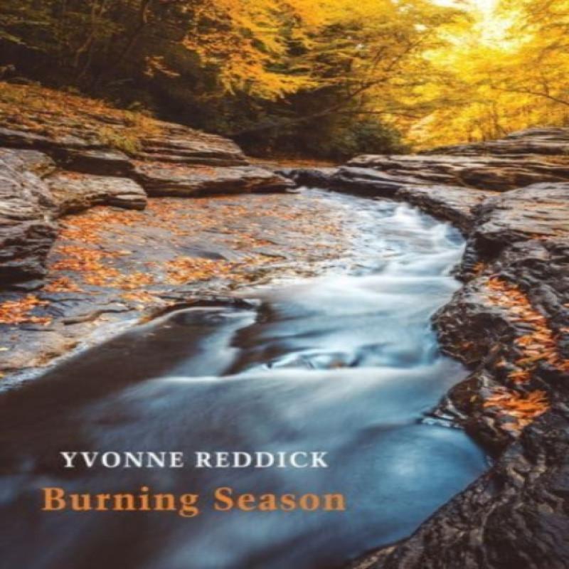 Burning Season by Yvonne Reddick Paperback Book 9781780376455