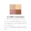 SUQQU Signature Color Eyes 14 Yuukohaku