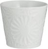 Hasami Ware Mug, Marigold White, Approx. 210ml, Made in Japan, Product Number 323090234