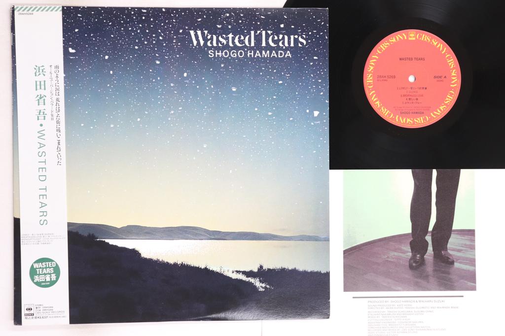 LP Record SHOGO HAMADA - Wasted Tears 28AH5269 CBS SONY 1989 Japan Obi Japanese Pop/Rock Used
