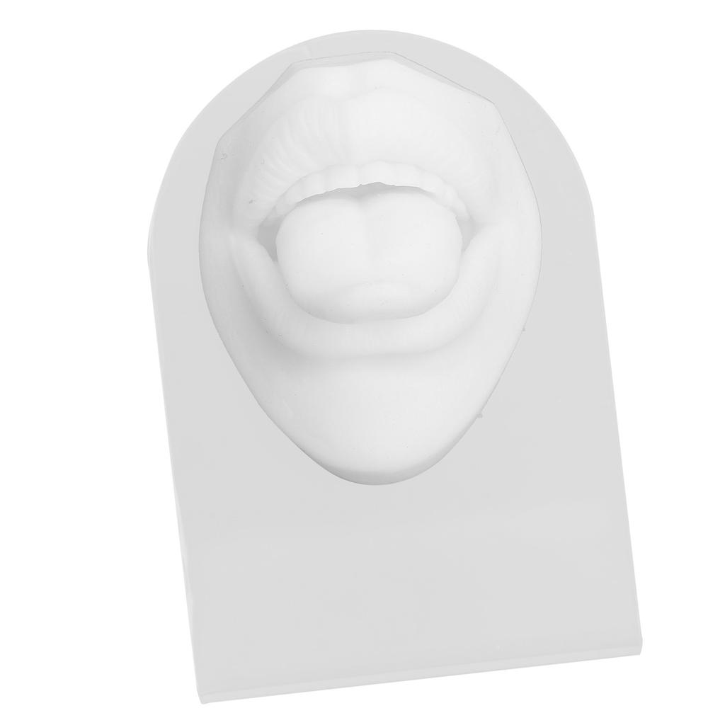 Silicone Tongue Mouth Model With Display Stand Simulated 3D Tongue Piercing Body Practice Model
