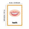 Early Learning Word Card Interactive Vocabulary Building Flash Cards Children Learning English Vocabulary Cards 11x8cm