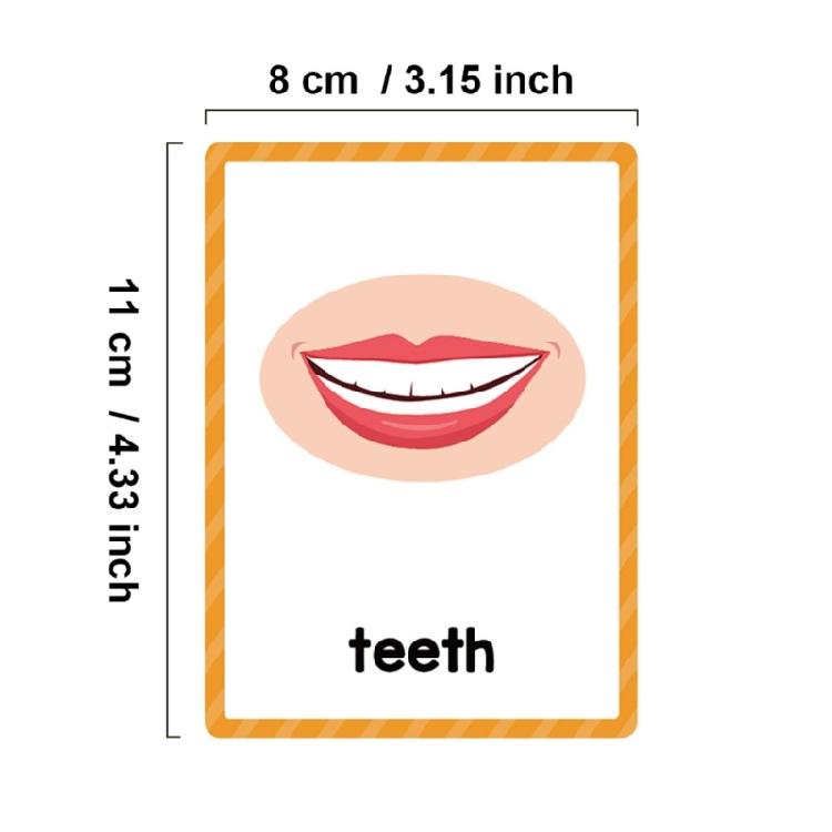Early Learning Word Card Interactive Vocabulary Building Flash Cards Children Learning English Vocabulary Cards 11x8cm