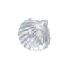 Simulation Transparent Shell Mobile Phone Airbag Bracket Conch Pearl Paste Retractable Portable Desktop Lazy Support Frame