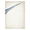 Marine Animals Canvas Paintings Great White Shark Posters and Prints Killer Whale Wall Art Picture for Home Decoration No Frame
