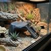 Imitation Rocks Turtles Basking Platform Decorative Non-Slip Surface Reptile Hide Cave Resin Turtle Hiding Hole Aquarium