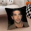 RRoss Geller Cushion Cover Linen Pillow Case Soft Breathable Protective Couch Room Decoration