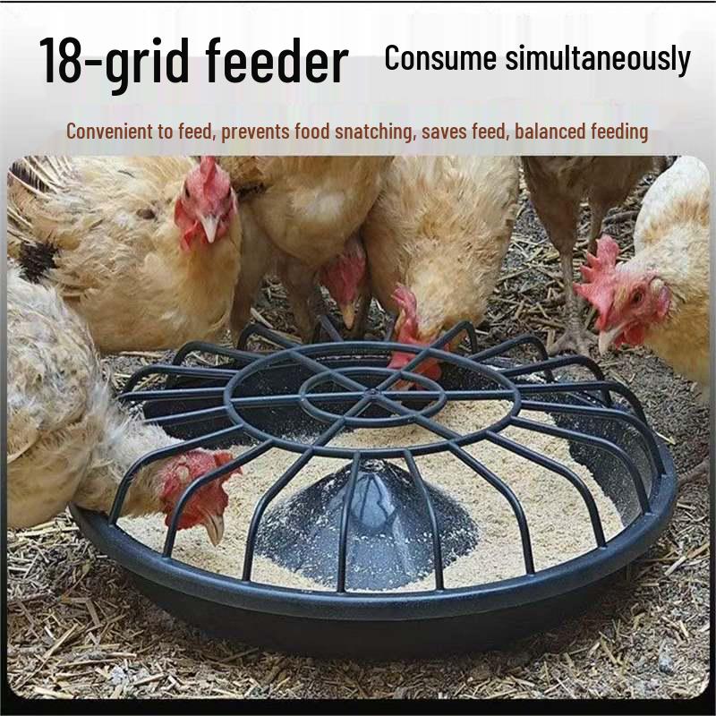

Automatic Thickened Chicken & Water Feed Trough for Free-Range Poultry