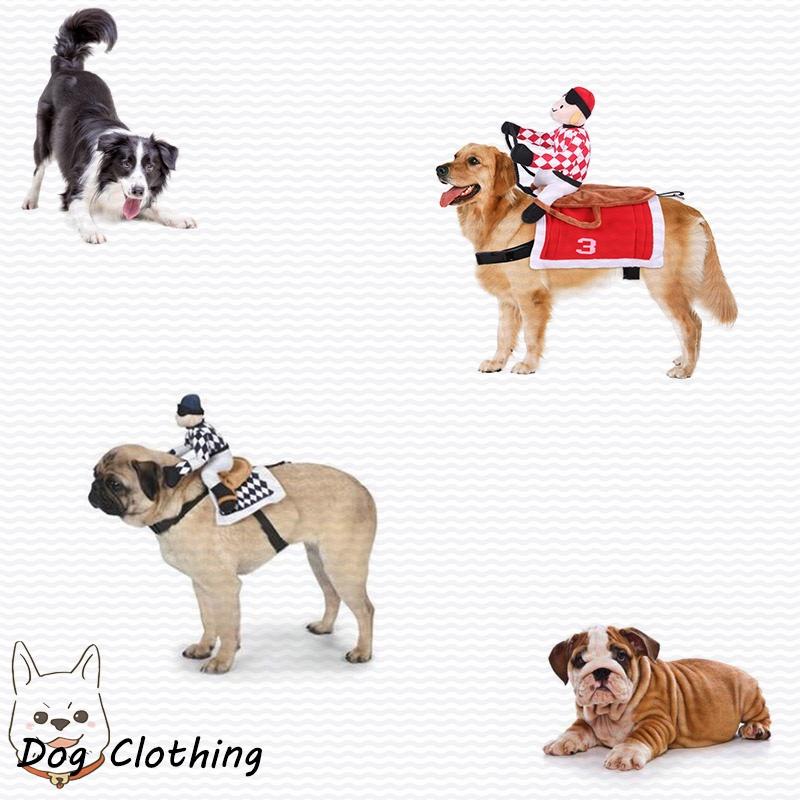 Factory Direct Horse Riding Costume For Pets Cosplay Knight Costume For Dogs