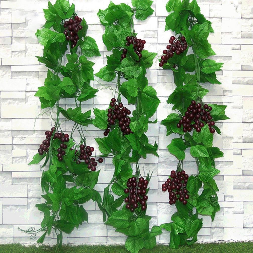 Viti da Uva Frutta Viti da Uva Simulazione Frutti