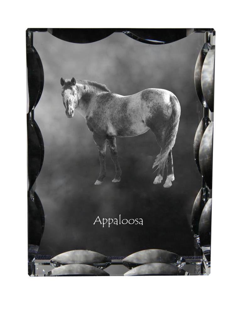 Appaloosa – Kryształ ze zdjęciem konia, szklana statuetka ze zdjęciem | Art-Dog