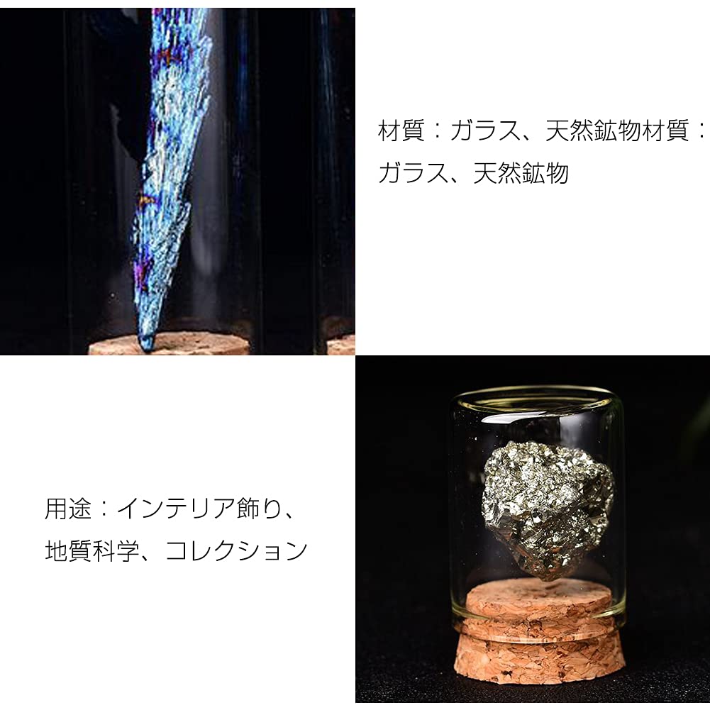 HIGHAWK Rock Specimen Natural Stone Glass Cover Ore Dustproof Figurine Ornament Display Specimen Box Table Collection Geological Science Decoration