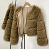European and American short autumn and winter new round neck fashion warm imitation raccoon fur coat women's fur coat