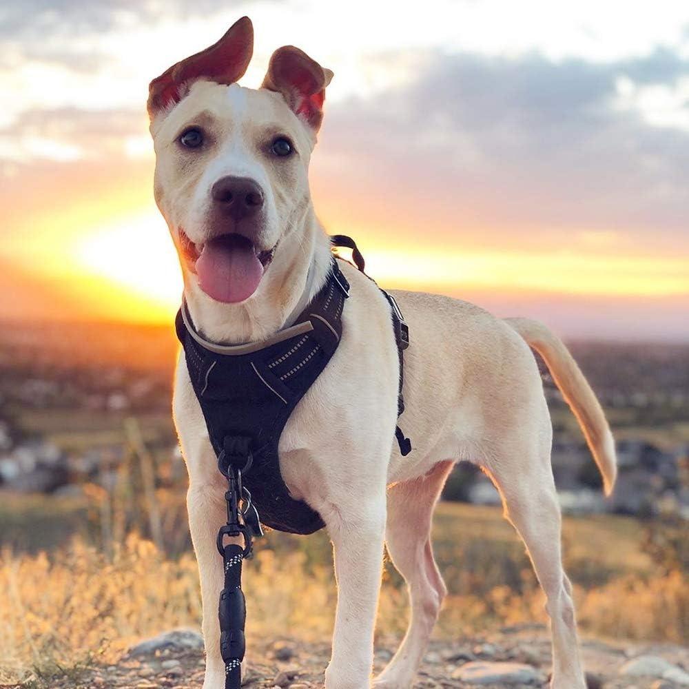 Dog harness, anti-pull, pet harness,  outdoor pet vest with 3M reflective strips, Oxford cloth material, suitable for small, medium and large dogs,